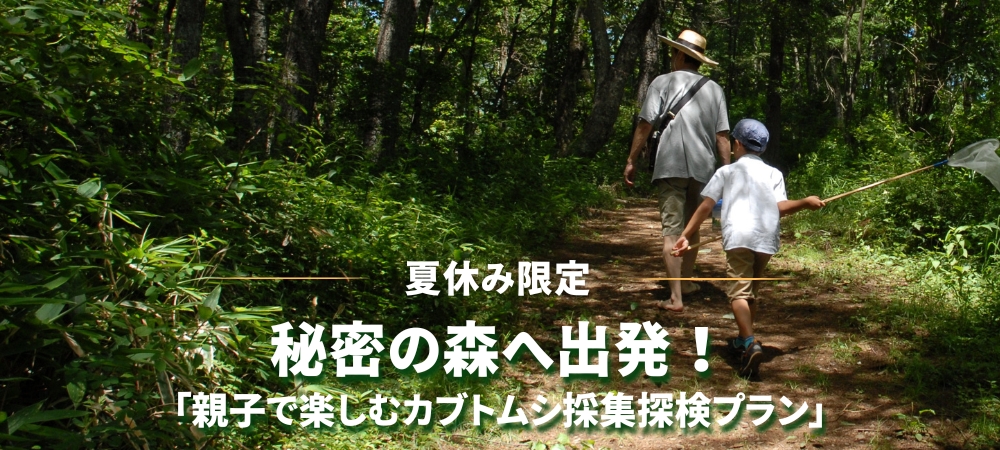 〈夏休み限定〉秘密の森へ出発！「親子で楽しむカブトムシ採集探検プラン」