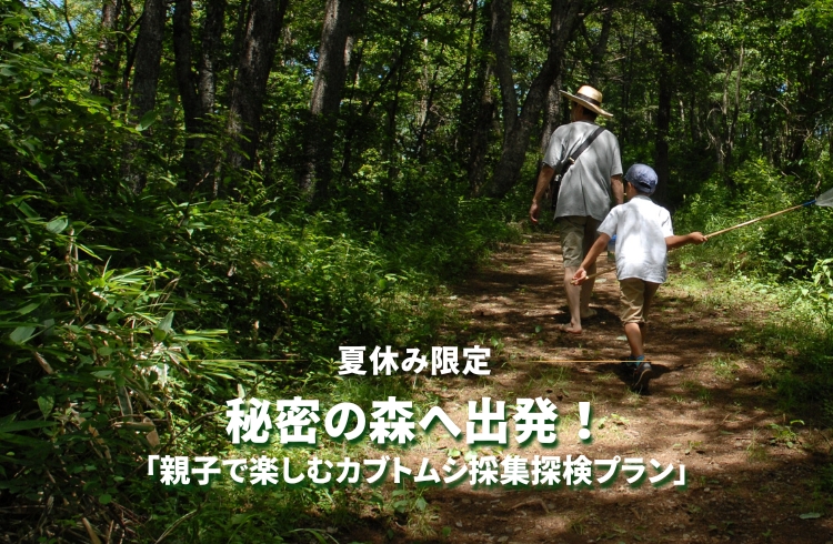 〈夏休み限定〉秘密の森へ出発！「親子で楽しむカブトムシ採集探検プラン」