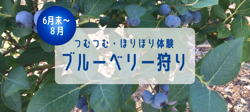 成田ファームランドでつむつむ・ほりほり体験付ご宿泊プラン(朝食付)