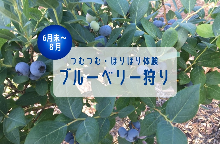成田ファームランドでつむつむ・ほりほり体験付ご宿泊プラン(朝食付)