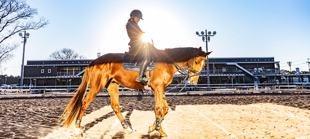 〈1日2組限定〉乗馬プラン ウマ活~自分を整える、 大人のご褒美ステイ~