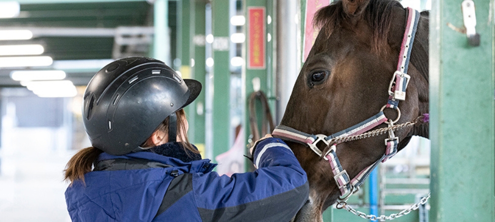 〈1日2組限定〉乗馬プラン ウマ活~自分を整える、 大人のご褒美ステイ~