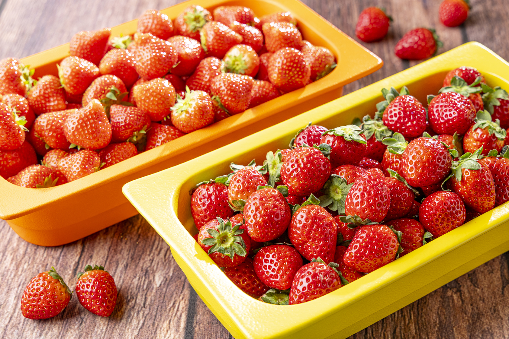 2026年1月5日-2月28日＞いちごとミルクのプレシャス・マリアージュ